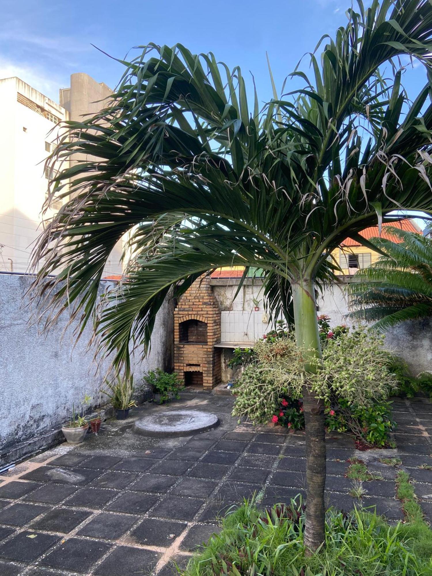 Apartment Apto Exclusivo, 200m Da Praia, Horario Flexivel 24 Fortaleza (Ceara)